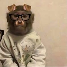 Monkey Cute Profile Picture