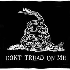 Dont Tread On Me Pfp by gri