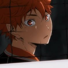Shoyo Hinata