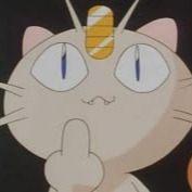 Meowth Display Picture