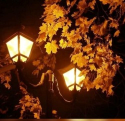 Septemberglow Pfp