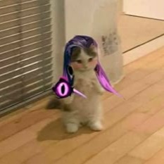 Valorant Cat Profile Avatar