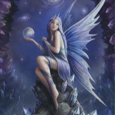 Fairy Display Picture