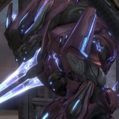 Halo Elite