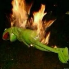 Kermit Meme