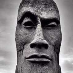 Moai Pfp