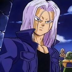 Long Hair Trunks