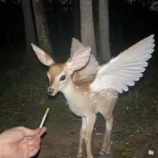 Deer Pfp