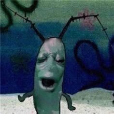 Plankton Pfp