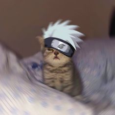 Kakashi 21