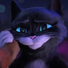 Puss In Boots Matching