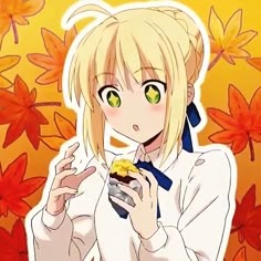 Fate Grand Order Display Picture Pfp