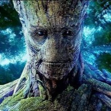 Groot Pfp