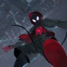 Spider Man Into The Spider Verse