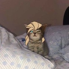 Sova Pfp