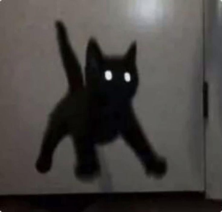 Spooky 41 Profile Picture