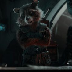Rocket Raccoon Pfp