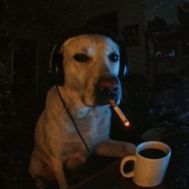 smoking dog