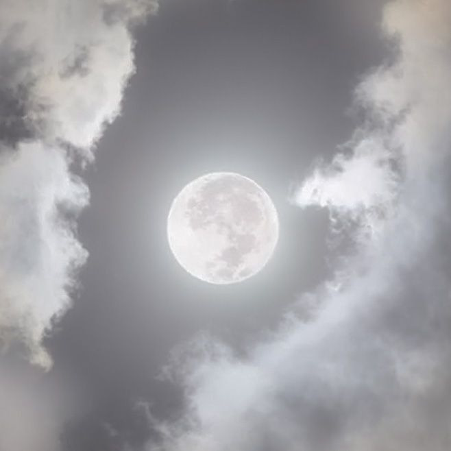 WhiteMoon Pfp
