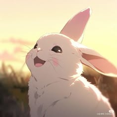 Anime Bunny