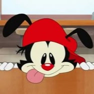 Wakko
