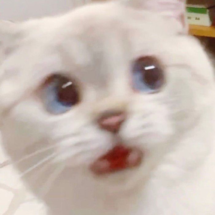 Aesthetic 2 Pfp