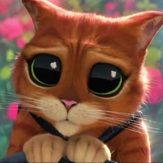 Puss In Boots Matching