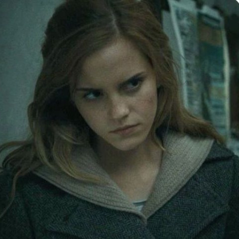 5358-hermione-granger-profile-picture.png