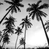 Black And White Profile Image Pfp