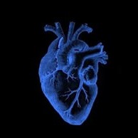 Blue Heart