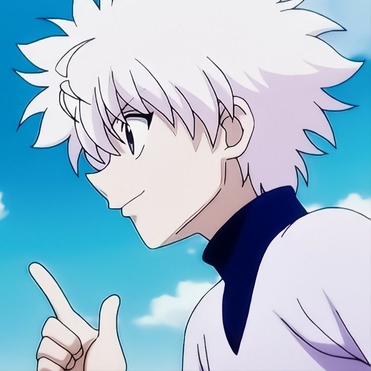 Hunter X Hunter Matching Icon