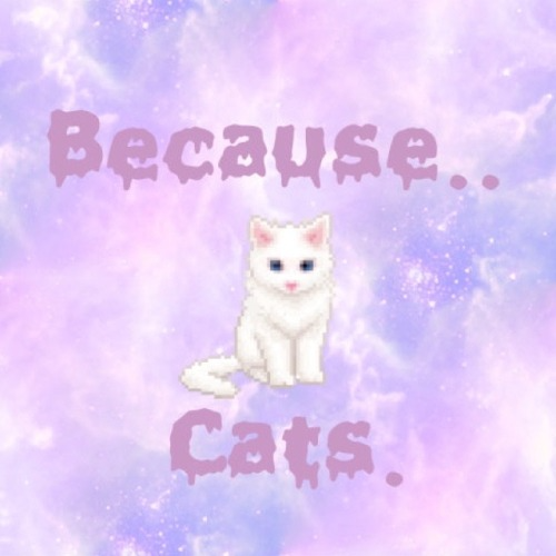 Becausecats Pfp