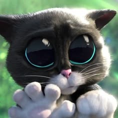 Puss In Boots Matching