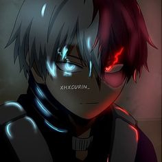 Todoroki Aesthetic Profile Photo