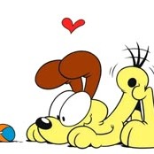 Odie