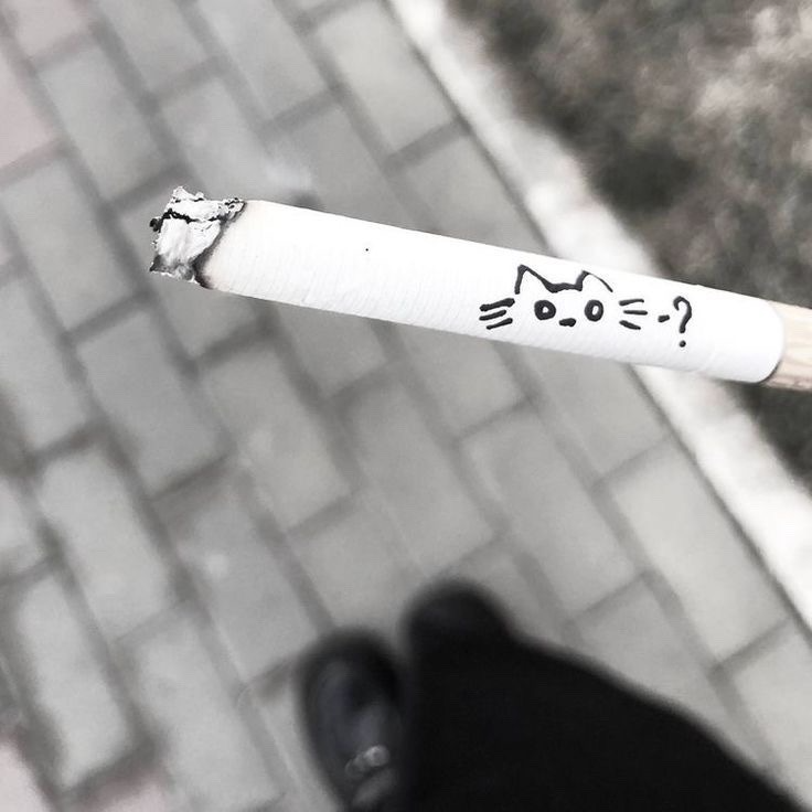 CatCigarette Pfp
