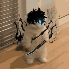 Anime Cat Display Picture