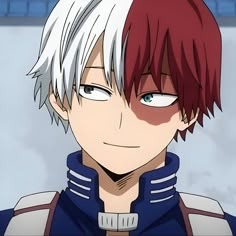 Todoroki Shoto Profile Avatar