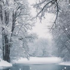 Winter Pfp