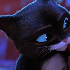 Puss In Boots Matching