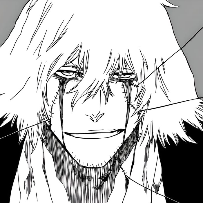 Aizen User Picture Profile Picture