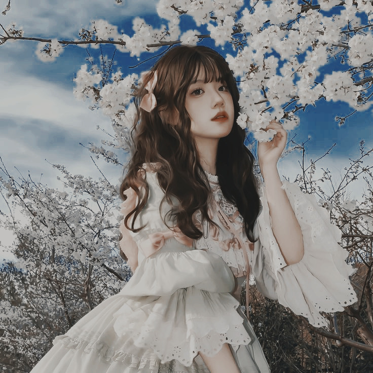 SakuraGirl Pfp