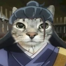 Geto Cat