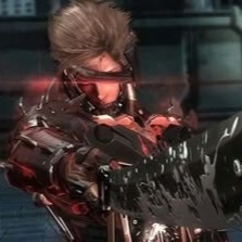 Raiden Metal Gear
