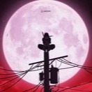 Itachi Moon