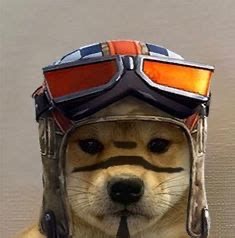 Doggy