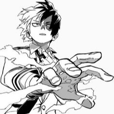 Todoroki Manga