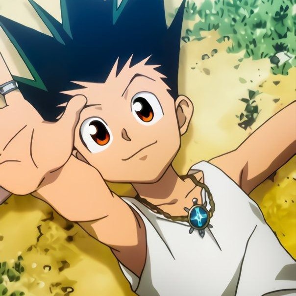 Hunter X Hunter Matching Profile Avatar