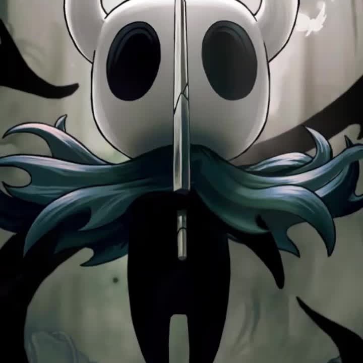 Hollow Knight