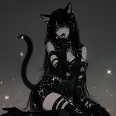 Aesthetic Black Cat